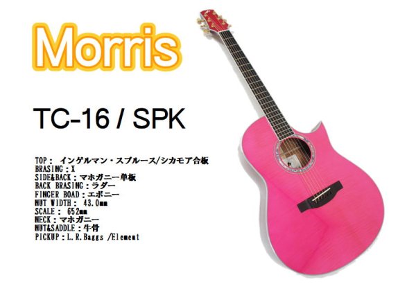 画像1: Morris　TC-16 / SPK (1)