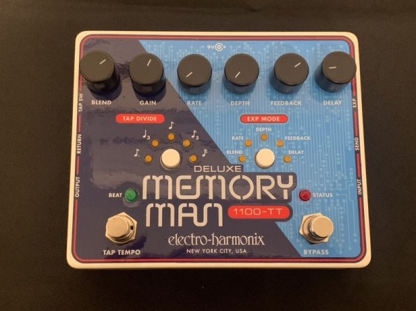 画像1: Electro-Harmonix DELUXE MEMORY MAN 1100TT (1)