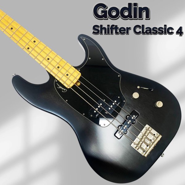 画像1: Godin (1)