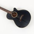 画像2: Takamine (2)