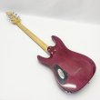 画像4: SCHECTER (4)