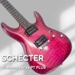 画像1: SCHECTER (1)