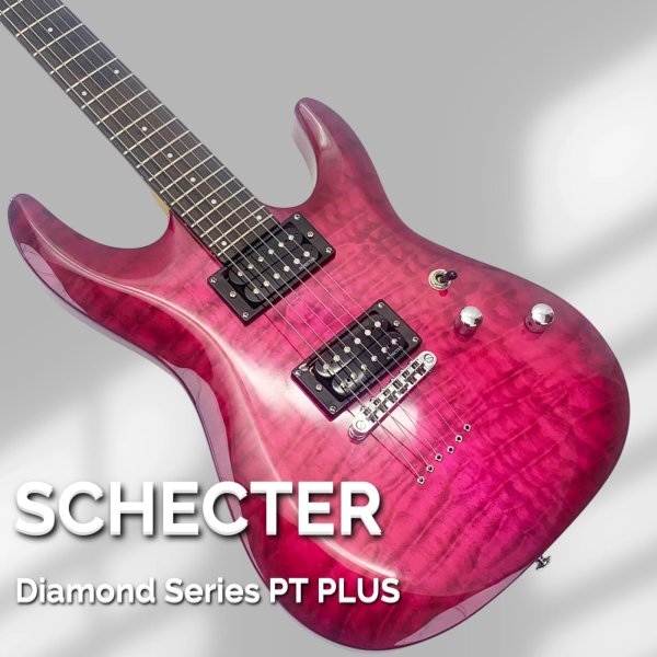 画像1: SCHECTER (1)