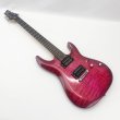 画像3: SCHECTER (3)