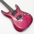 画像2: SCHECTER (2)