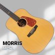 画像1: 	Morris (1)