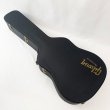 画像10: Gibson (10)