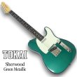 画像1: Tokai (1)